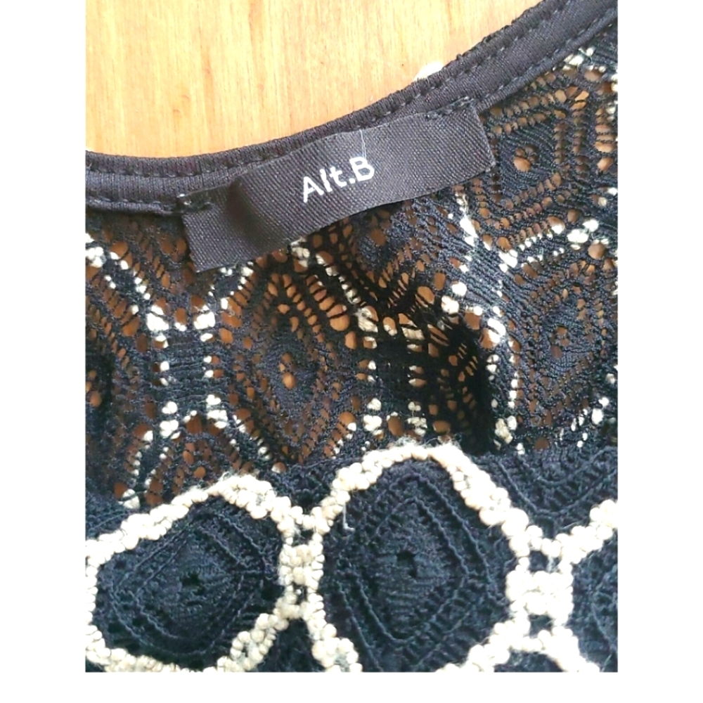 Alt B form fitted lined mesh dress - Picture 3 of 4